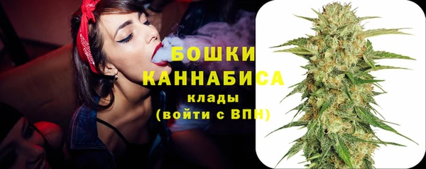 амф Арсеньев