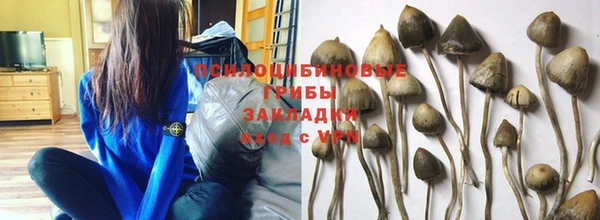 амф Арсеньев