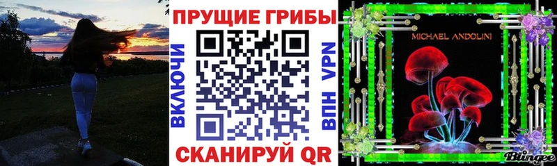 Галлюциногенные грибы прущие грибы  хочу   KRAKEN ONION  Баксан 